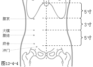 ��̫��Ƣ��Ѩ