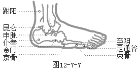 ��̫�����׾�Ѩ