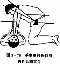  �������ఴѹ�������Ƹ����������عǳ����غ�