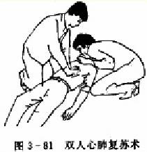  ˫���ķθ�����