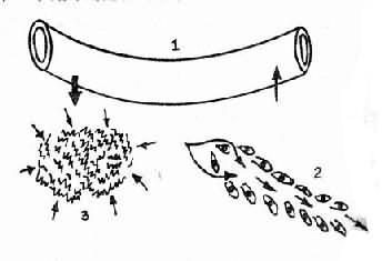 ëϸѪܡëϸܰ͹ܺṹ<a href=