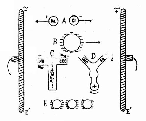 �������ڸ�Ƶ�������µı仯ģʽͼ