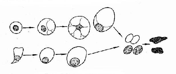 ����ϸ���������˱����ʾ��ͼ