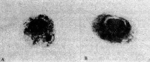 ��ϸ������������