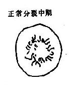 ��������������˿����ʾ��ͼ