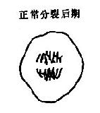 ��������������˿����ʾ��ͼ