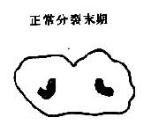 ��������������˿����ʾ��ͼ