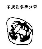 ��������������˿����ʾ��ͼ