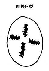 ��������������˿����ʾ��ͼ