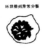 ��������������˿����ʾ��ͼ