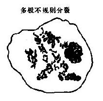 ��������������˿����ʾ��ͼ