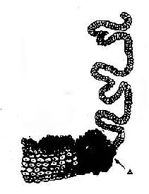 �ӹ�������ʾ��ͼ