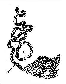 �ӹ�������ʾ��ͼ