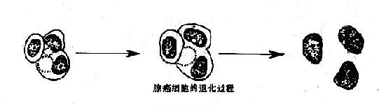 �˻����Ե���״ϸ������<a href=