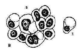 �ɶ���<a href=