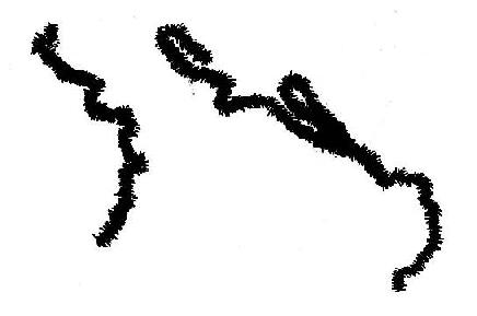 ̵ͿƬ��֧����ճҺ����