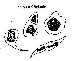 �߷ֻ���<a href=