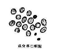 Сϸ��δ�ֻ�<a href=