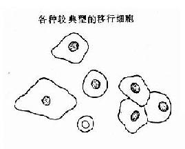 ��������Һ�ڵĸ�������ϸ��ʾ��ͼ