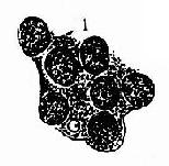 ������ҺͿƬ������ϸ��