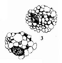 ������ҺͿƬ������ϸ��