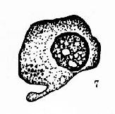 �����ܰͽᴩ��ͿƬ������ϸ��