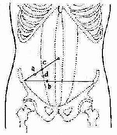 ��β�������ͶӰ��