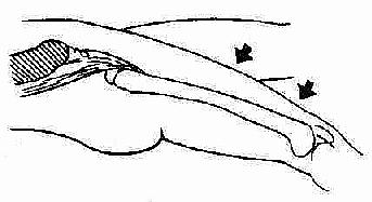 ��������ʾ��ͼ