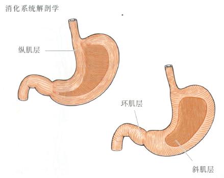 θṹ