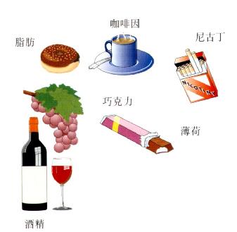 LESѹʳ