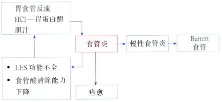 ʳ׵Ĳ仯