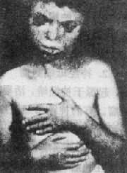 ��ɫ�Ը�Ƥ������