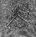 ����ָ�����ͼ����Ƽ��������������ĵ㵽�����ֱ��