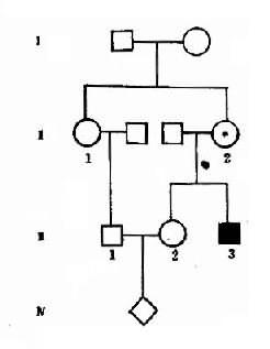 һ����Ⱦɫ�������Ŵ���ϵ��