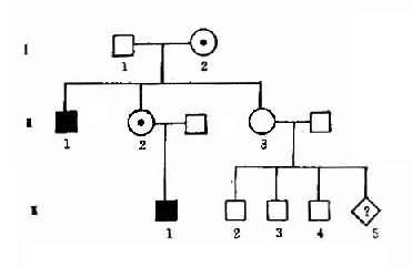 һ���ٷʴ��ͼ�Ӫ������ϵ��