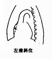 ķ