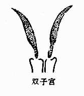 ӹԻ