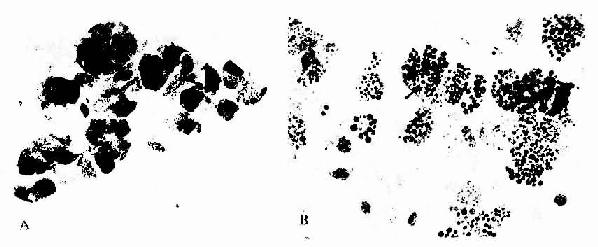 ����������ٿ�������ϸ�� 