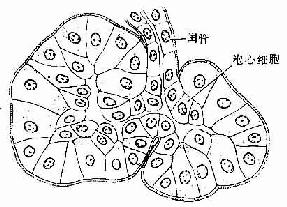 ��������ģʽͼ 