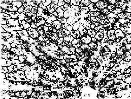 �ø���������Ⱦʾ��С�� 