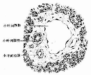  ���Ź��� 